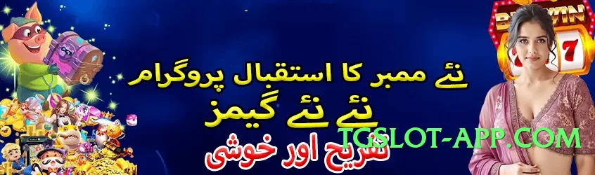 Pro pkr888 Platinum v4.5.0 Screenshot 2