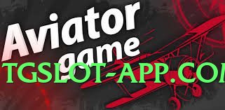 Pro pakspin Star Screenshot 1